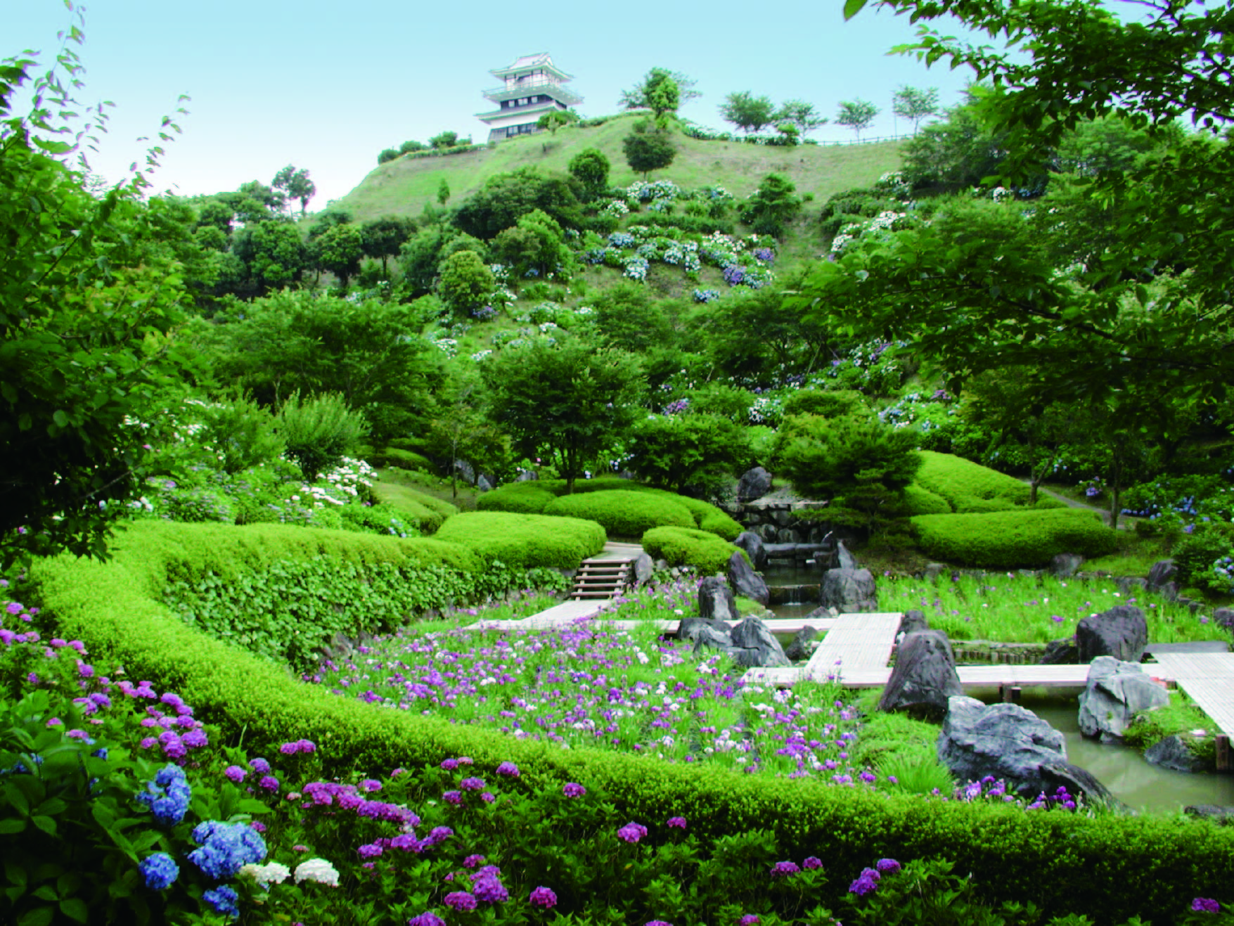 あじさい公園 一般社団法人都城観光協会